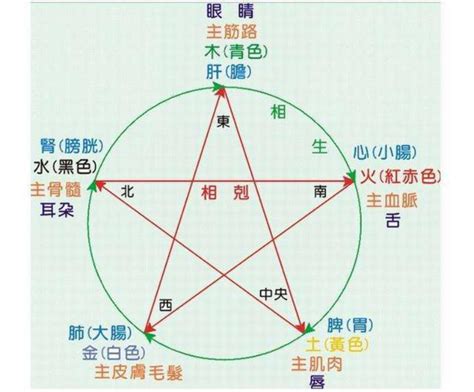 思 五行屬性|思的五行：顛覆認知